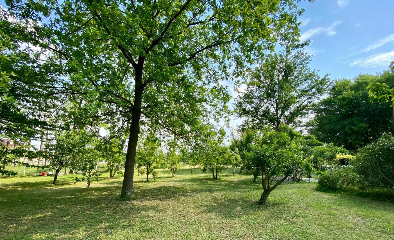 Locanda Del Molino Vecchio Magliano Alfieri Eksteriør billede
